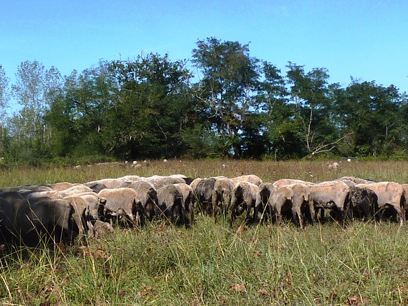 Le repos avant de repartir