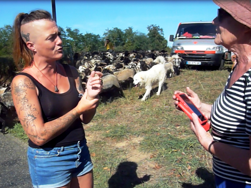 La bergère au départ des moutons