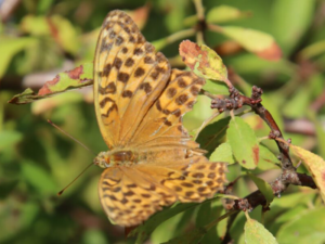 Lire la suite à propos de l’article Générations Mouvement vous souhaite de bonnes vacances d’été ! A très vite.